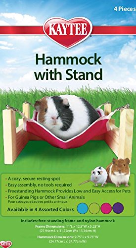 Kaytee Small Animal Hammock & Stand
