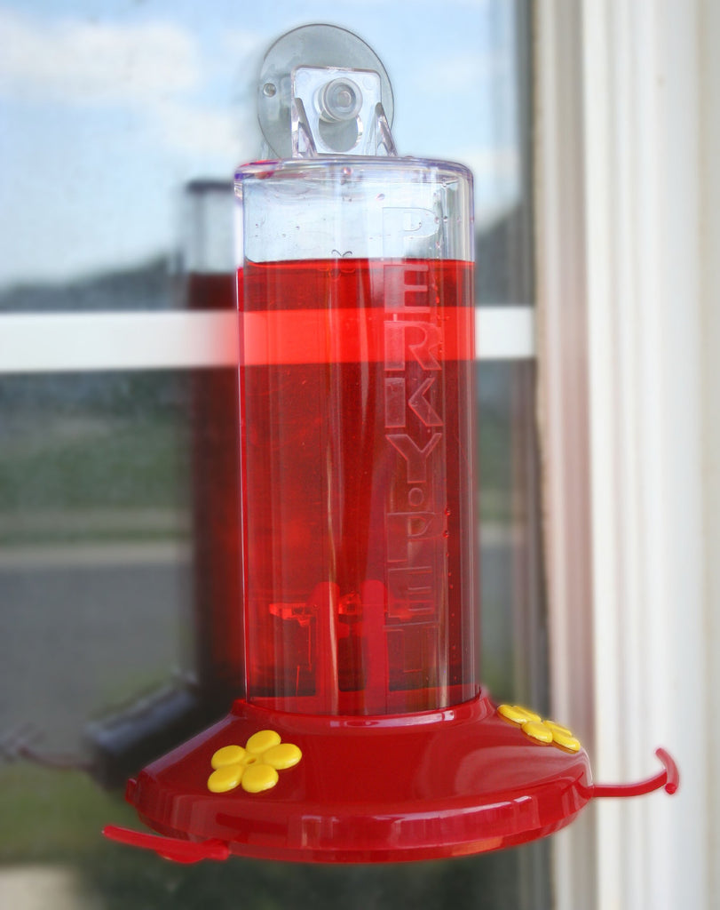 Window Mount Hummingbird Feeder