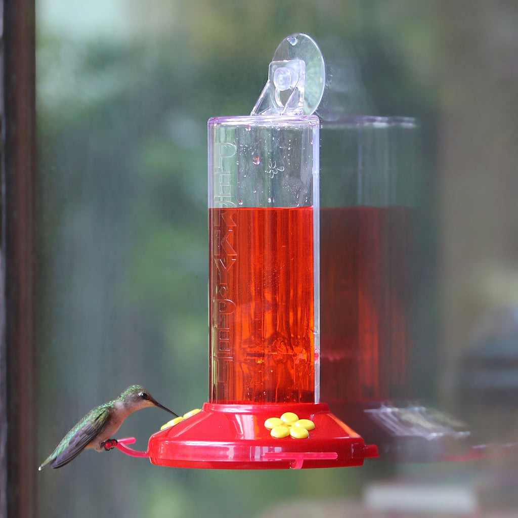 Window Mount Hummingbird Feeder